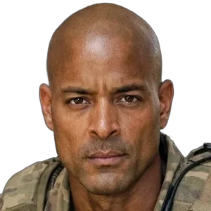 데이비드 고긴스